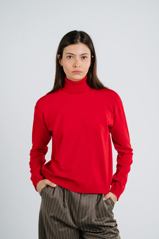 Rita Turtleneck Top